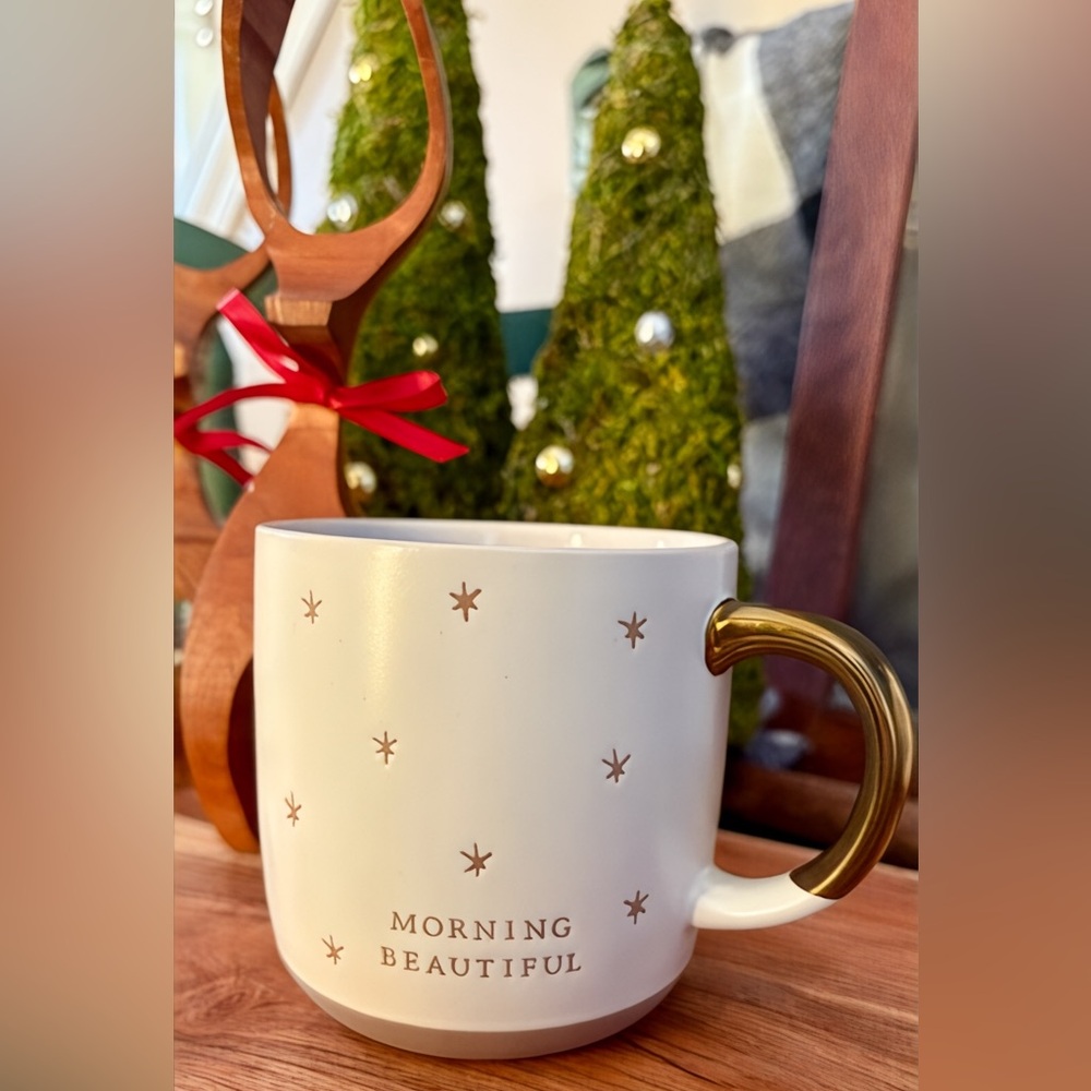 Hearth and Hand Magnolia Stoneware Morning‎ Beautiful Coffee Cup Mug